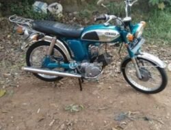 Komunitas dan Penggemar Yamaha L2 Series