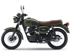 Mengenal Lebih Dekat Kawasaki W175 Standard: Motor Klasik yang Gaya