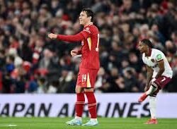 Federico Chiesa: Dari Harapan Menjadi Tantangan di Liverpool