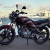 Yamaha Scorpio Z vs Honda Tiger: Perbandingan Dua Motor Legendaris