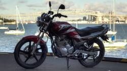 Yamaha Scorpio Z vs Honda Tiger: Perbandingan Dua Motor Legendaris