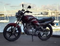 Yamaha Scorpio Z vs Honda Tiger: Perbandingan Dua Motor Legendaris