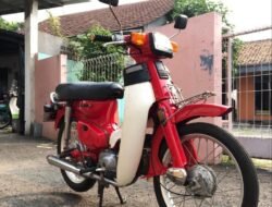 Mengenal Lebih Dekat Honda Super Cub C800: Ikon Motor Klasik yang Tak Lekang oleh Waktu