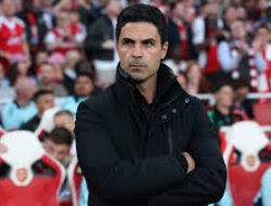 Arteta Dukung Gyökeres Setelah Penampilan Buruk di Debut