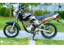 Yamaha Scorpio: Daya Tarik yang Tak Pernah Padam di Pasar Motor Bekas