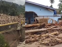 Kerusakan Hutan Batang Toru: Akar Permasalahan Banjir dan Longsor di Sumatera Utara