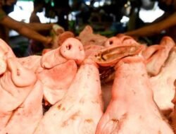Pedagang Daging Babi di Medan Adakan Aksi Protes untuk Keadilan Ekonomi