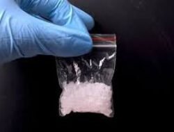 Polda Metro Jaya Ungkap Peredaran Sabu dan Ganja di Jakarta Barat