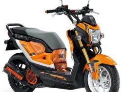 Honda Zoomer-X: Skuter Unik dengan Konsep Berbeda